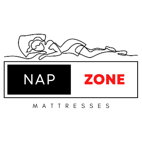 Napzone logo